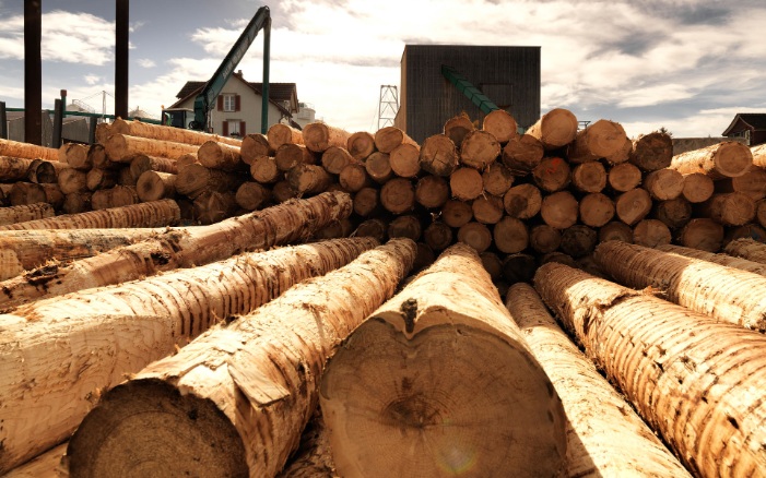 Logs with company premises in the background